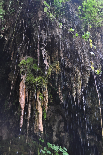 Waterfall Trail